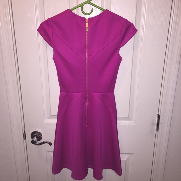 Ted Baker Fuchsia Eebrr Skater Dress sz 0 = 2 - Picture 4 of 7